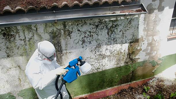 Top rated local Mold Inspection And Testing specialists in North Bend, WA